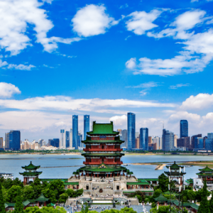 老年人旅游出行工具优先选择什么？