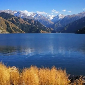 想带老年人去旅游去西藏好还是新疆好？