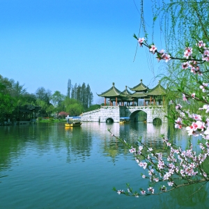 春天去哪里比较好