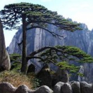 黄山旅游攻略及注意事项